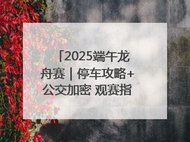 2025端午龙舟赛｜停车攻略+公交加密 观赛指南来了！