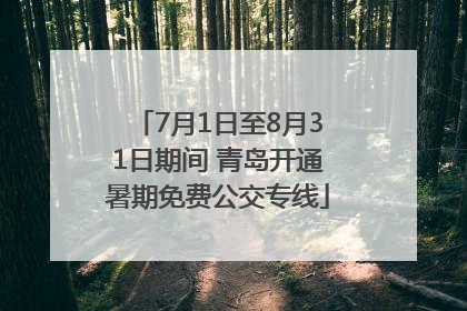 7月1日至8月31日期间 青岛开通暑期免费公交专线