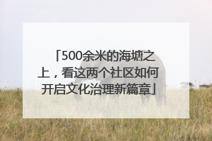 500余米的海塘之上，看这两个社区如何开启文化治理新篇章