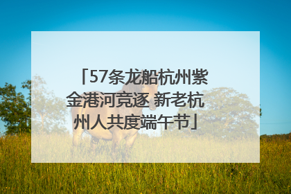 57条龙船杭州紫金港河竞逐 新老杭州人共度端午节
