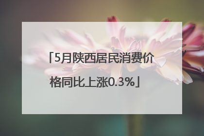 5月陕西居民消费价格同比上涨0.3%