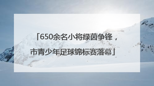 650余名小将绿茵争锋，市青少年足球锦标赛落幕