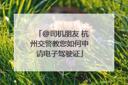 @司机朋友 杭州交警教您如何申请电子驾驶证