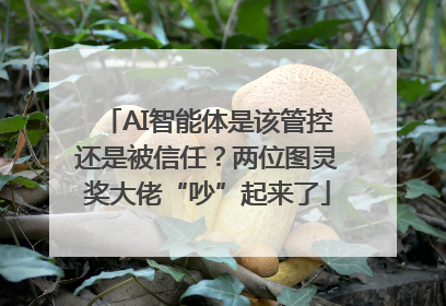 AI智能体是该管控还是被信任？两位图灵奖大佬“吵”起来了