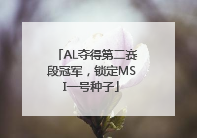 AL夺得第二赛段冠军，锁定MSI一号种子