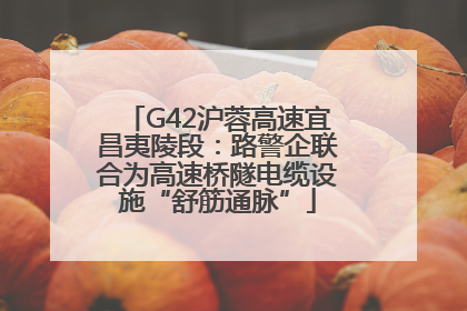 G42沪蓉高速宜昌夷陵段：路警企联合为高速桥隧电缆设施“舒筋通脉”