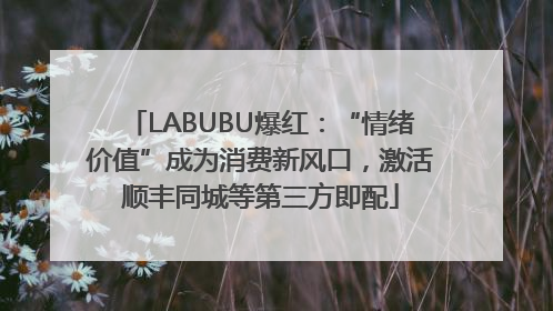 LABUBU爆红：“情绪价值”成为消费新风口，激活顺丰同城等第三方即配
